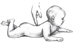 Illustration of a baby on her belly. A hand is pointing a finger down to touch her on her lower back.